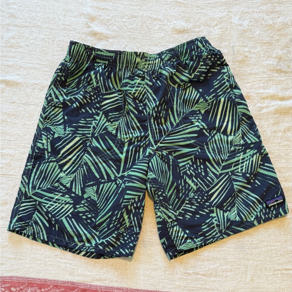 Patagonia Blue and Green Patterned Shorts